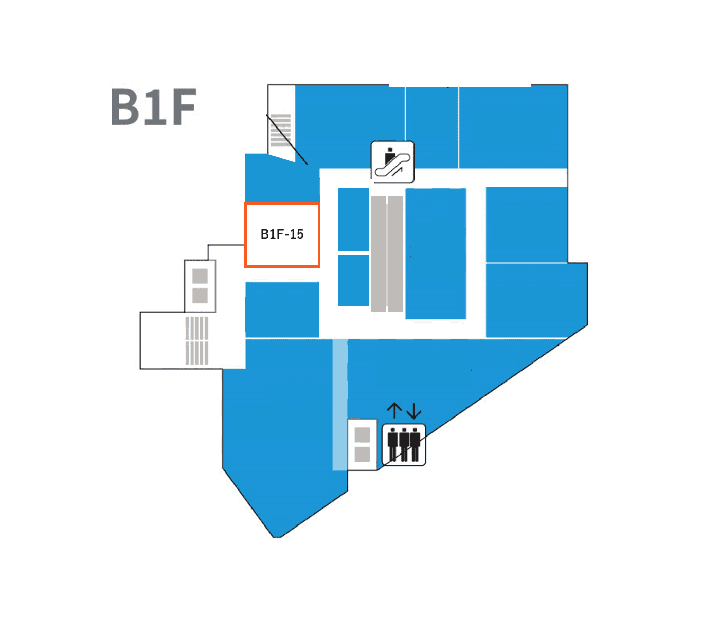 B1F-15(15.3坪)